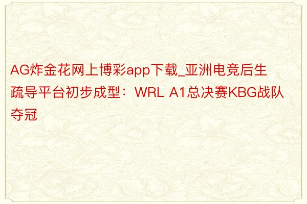 AG炸金花网上博彩app下载_亚洲电竞后生疏导平台初步成型：WRL A1总决赛KBG战队夺冠