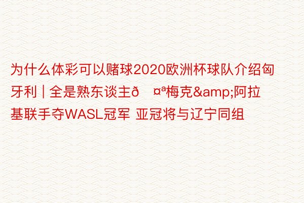 为什么体彩可以赌球2020欧洲杯球队介绍匈牙利 | 全是熟东谈主🤪梅克&阿拉基联手夺WASL冠军 亚冠将与辽宁同组