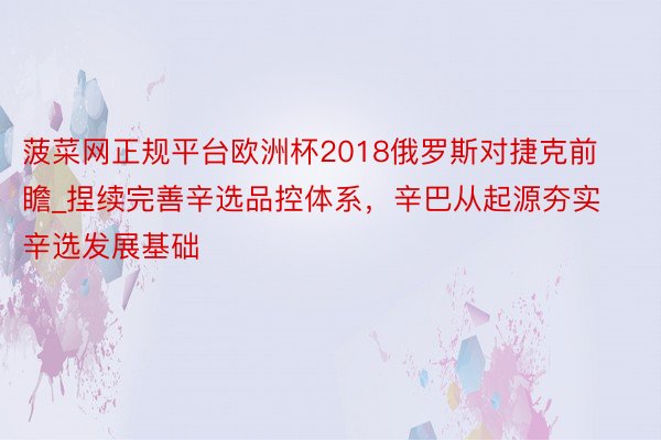 菠菜网正规平台欧洲杯2018俄罗斯对捷克前瞻_捏续完善辛选品控体系，辛巴从起源夯实辛选发展基础