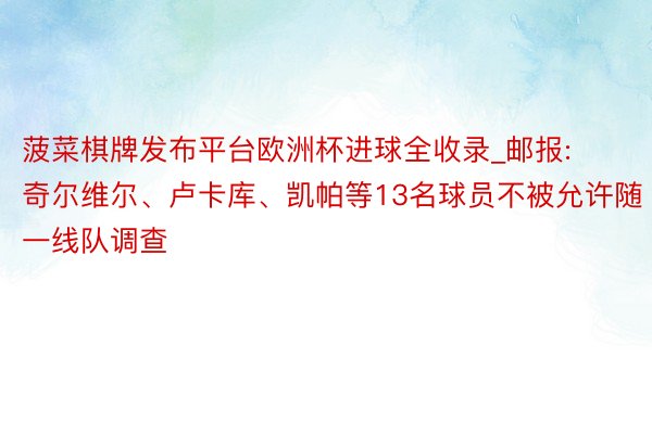 菠菜棋牌发布平台欧洲杯进球全收录_邮报: 奇尔维尔、卢卡库、凯帕等13名球员不被允许随一线队调查